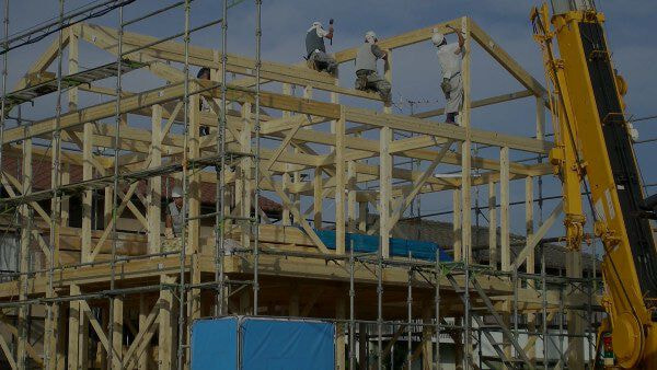 建築スケジュール_実績数